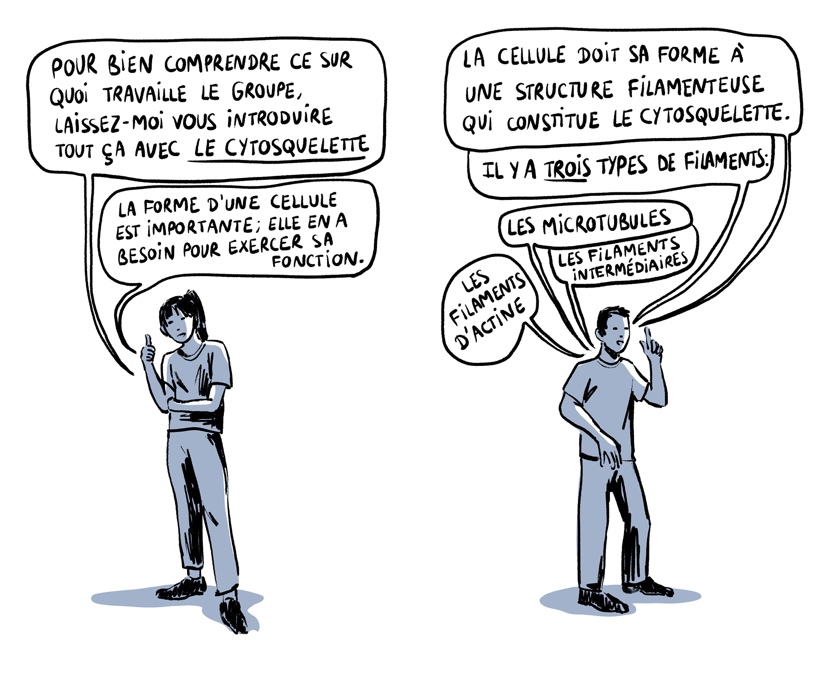 Image plein écran