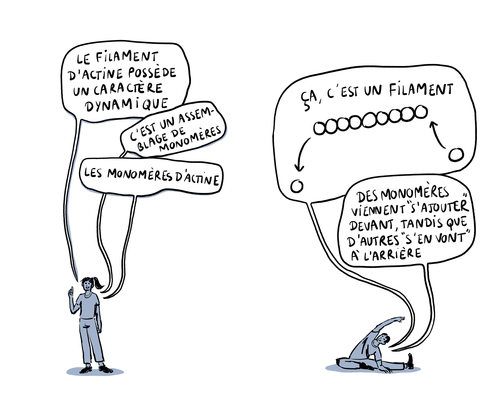 Image contain (à gauche)