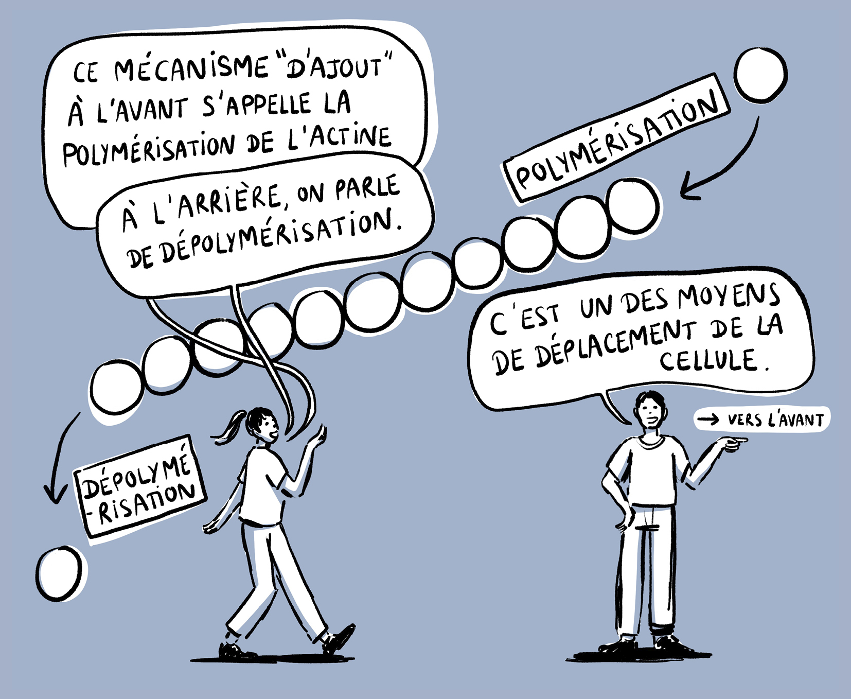 Image plein écran