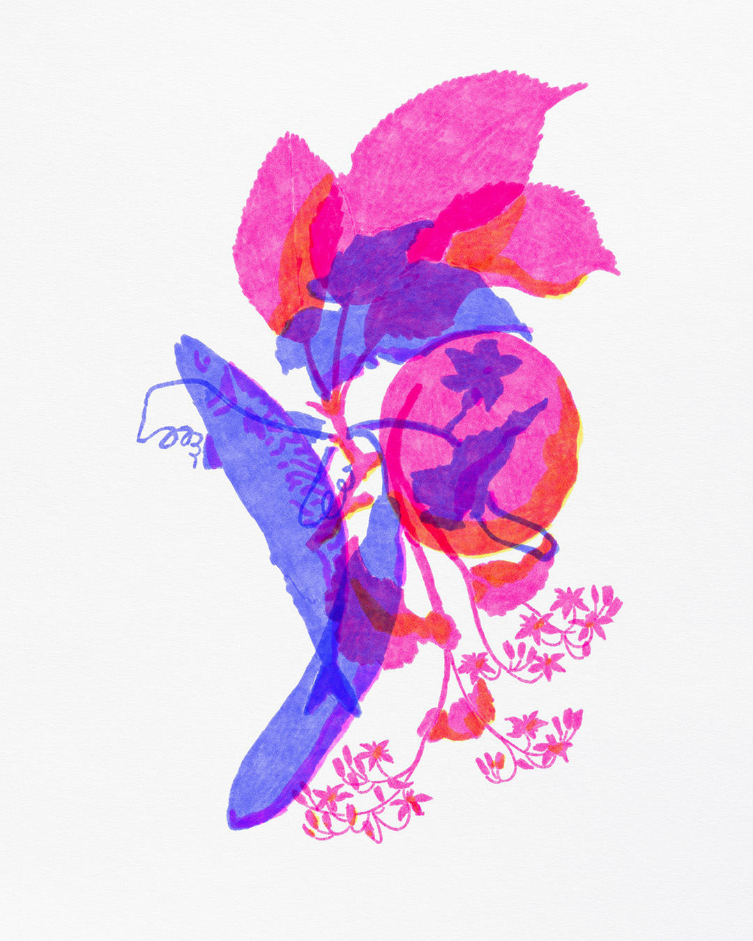 Image droite